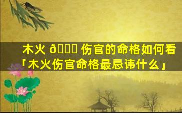 木火 🐕 伤官的命格如何看「木火伤官命格最忌讳什么」